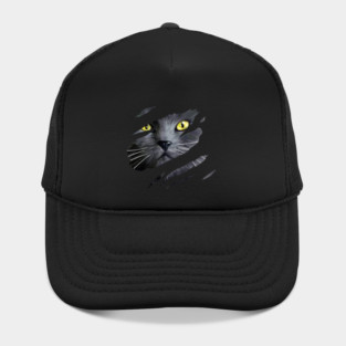 Grey Cat tearing through, Love Cats Hat