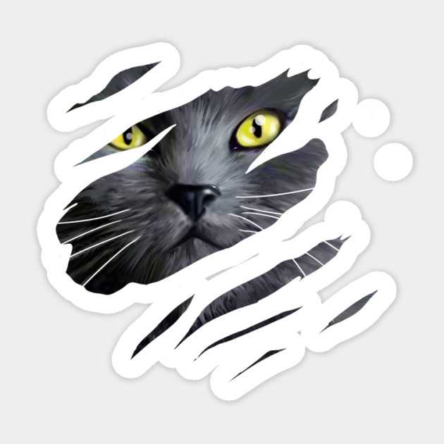 Grey Cat tearing through, Love Cats Sticker by logiamerch