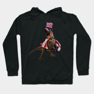 Funny T Rex Dinosaur, USA Flag, American Hoodie