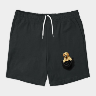 Golden Retriever Dog inside Pocket, Dog Lover Shorts