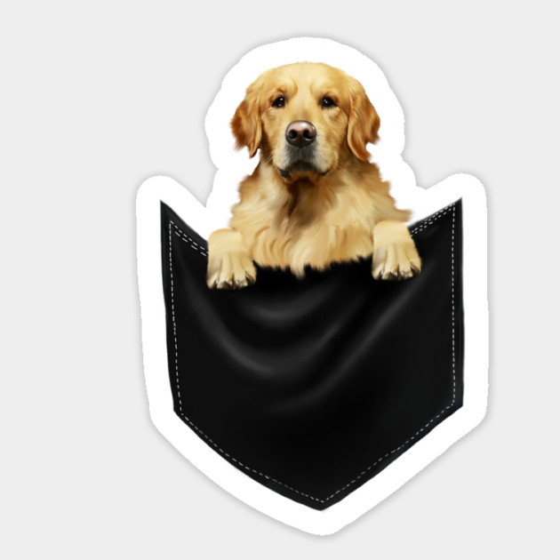 Golden Retriever Dog inside Pocket, Dog Lover Sticker by logiamerch