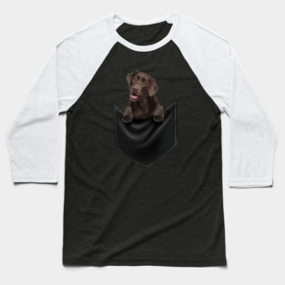 Brown labrador Retriever Dog inside Pocket, Lab Dog Love Baseball T-Shirt