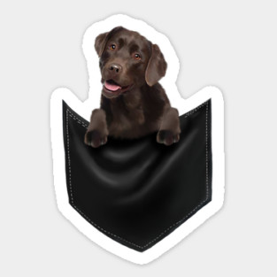 Brown labrador Retriever Dog inside Pocket, Lab Dog Love Sticker