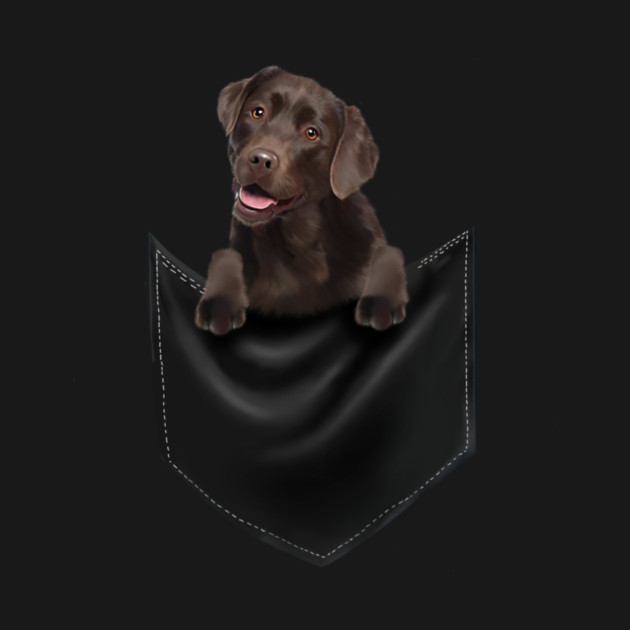 Brown labrador Retriever Dog inside Pocket, Lab Dog Love by logiamerch
