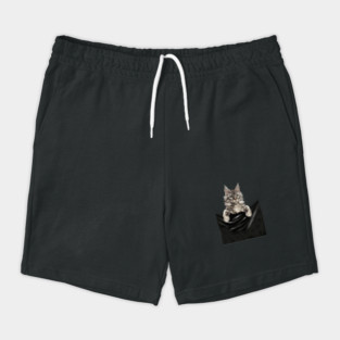 Main Coon Cat, Main Coon inside Pocket Shorts