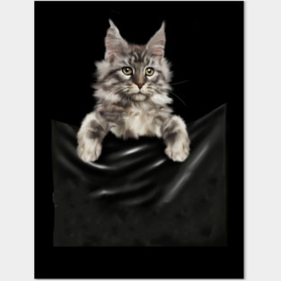 Main Coon Cat, Main Coon inside Pocket Posters and Art