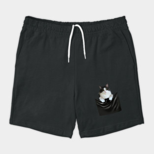 Ragamuffin Cat, Funny Cat Inside Pocket Shorts