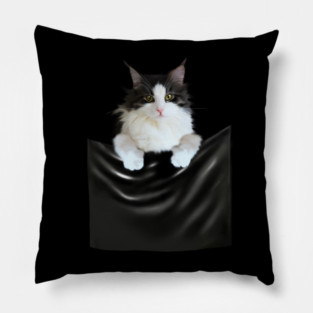 Ragamuffin Cat, Funny Cat Inside Pocket Pillow
