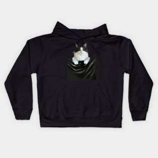 Ragamuffin Cat, Funny Cat Inside Pocket Kids Hoodie