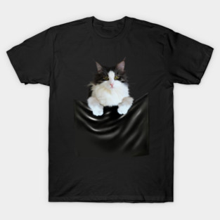 Ragamuffin Cat, Funny Cat Inside Pocket T-Shirt