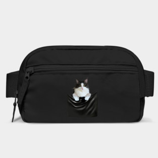 Ragamuffin Cat, Funny Cat Inside Pocket Bag