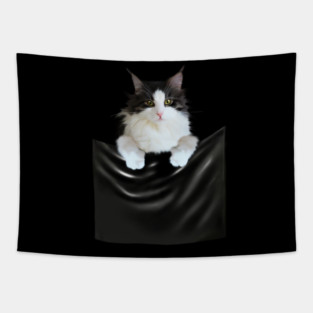 Ragamuffin Cat, Funny Cat Inside Pocket Tapestry