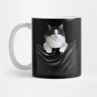 Ragamuffin Cat, Funny Cat Inside Pocket Mug