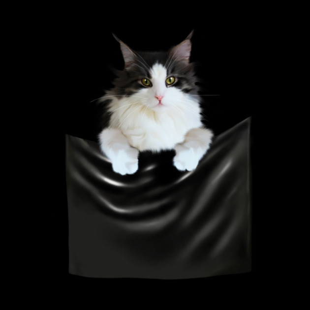 Ragamuffin Cat, Funny Cat Inside Pocket by logiamerch