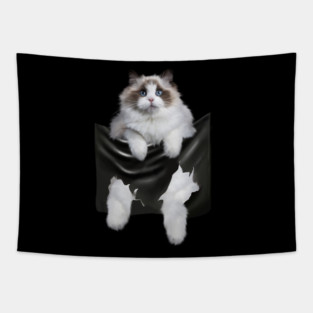 Ragdoll Cat Indside Pocket, Ragdoll Cats, Cat Lover Tapestry