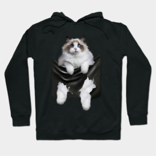 Ragdoll Cat Indside Pocket, Ragdoll Cats, Cat Lover Hoodie
