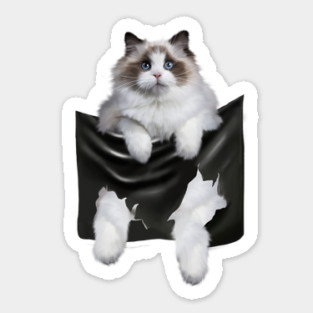 Ragdoll Cat Indside Pocket, Ragdoll Cats, Cat Lover Sticker