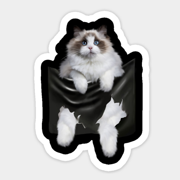 Ragdoll Cat Indside Pocket, Ragdoll Cats, Cat Lover Magnet by logiamerch