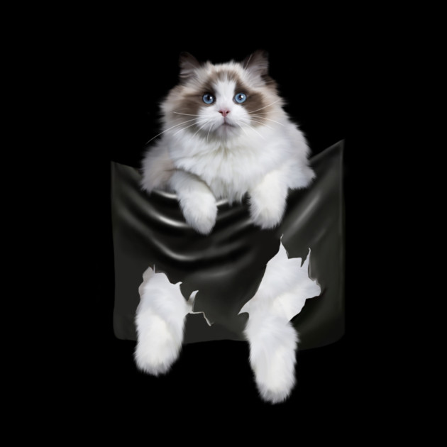 Ragdoll Cat Indside Pocket, Ragdoll Cats, Cat Lover by logiamerch