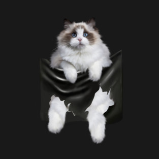 Ragdoll Cat Indside Pocket, Ragdoll Cats, Cat Lover T-Shirt