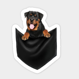Rottweiler Dog Inside Pocket, Dog Lover Sticker