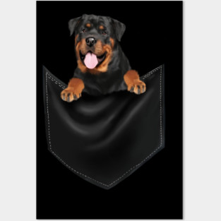 Rottweiler Dog Inside Pocket, Dog Lover Posters and Art