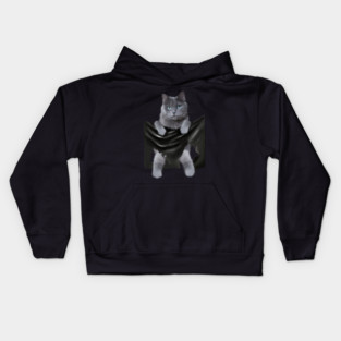 Russian blue Cat inside Pocket, Funny Cat Lover Kids Hoodie