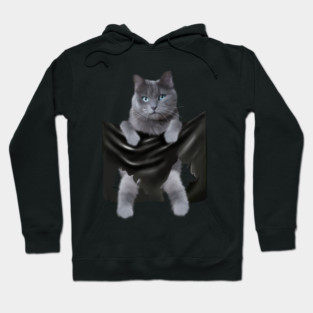 Russian blue Cat inside Pocket, Funny Cat Lover Hoodie