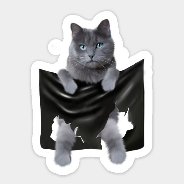 Russian blue Cat inside Pocket, Funny Cat Lover Sticker by logiamerch