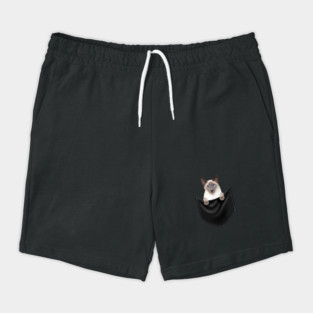 Siamese Cat inside Pocket, Cat Lover Shorts