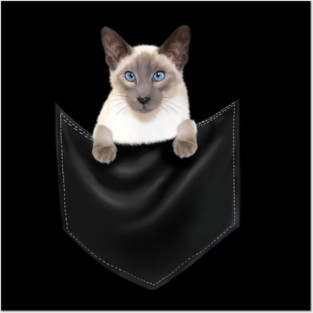 Siamese Cat inside Pocket, Cat Lover Posters and Art