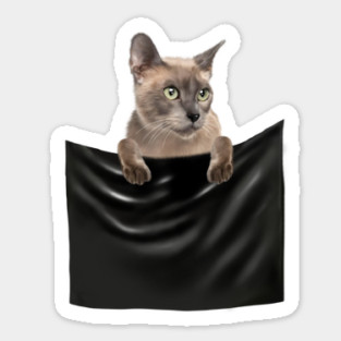 Tonkinese Cat inside Pocket, Cat Lover Sticker