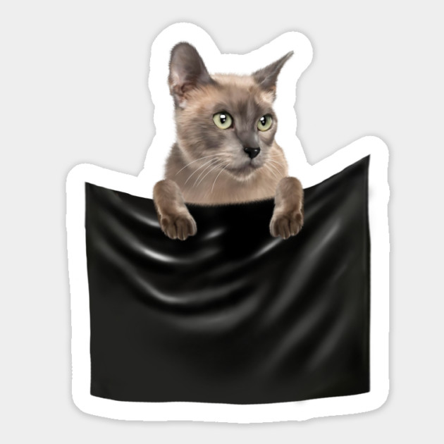 Tonkinese Cat inside Pocket, Cat Lover Magnet by logiamerch