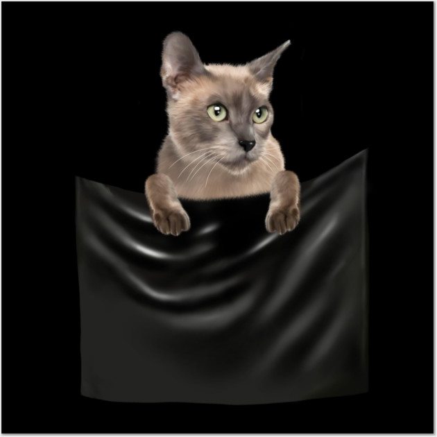 Tonkinese Cat inside Pocket, Cat Lover Wall Art by logiamerch