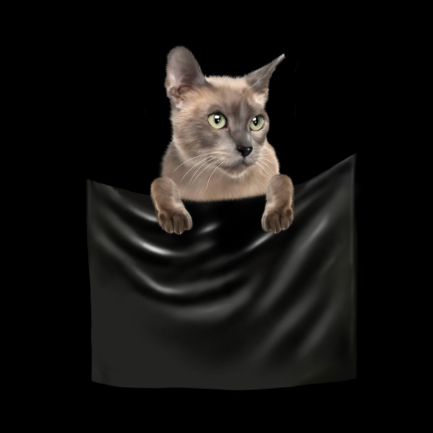 Tonkinese Cat inside Pocket, Cat Lover by logiamerch