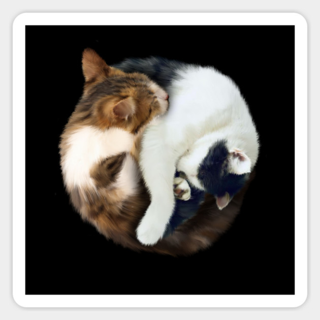 Yin Yang, Cats Cat Lover Kitten,  Chinese Symbol Sticker by logiamerch