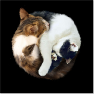 Yin Yang, Cats Cat Lover Kitten,  Chinese Symbol Posters and Art