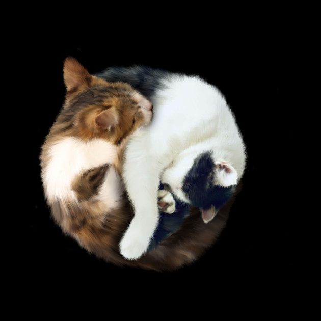 Yin Yang, Cats Cat Lover Kitten,  Chinese Symbol by logiamerch