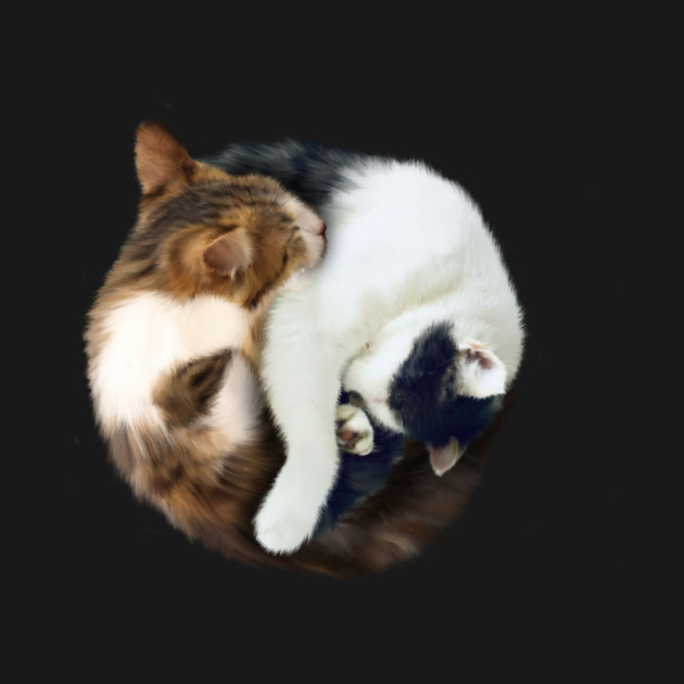 Yin Yang, Cats Cat Lover Kitten,  Chinese Symbol by logiamerch