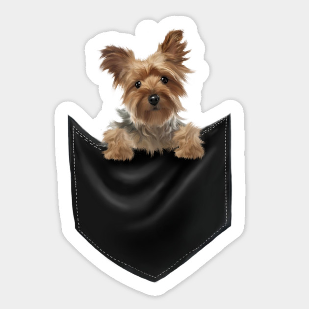 Yorkshire Terrier Dog Inside Pocket, Love Yorkies Sticker by logiamerch