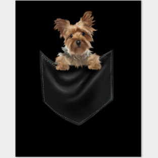 Yorkshire Terrier Dog Inside Pocket, Love Yorkies Posters and Art