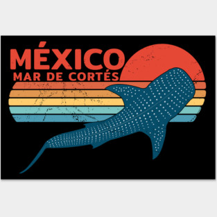 México Sea of Cortez Shark Diving Whale Shark Posters and Art
