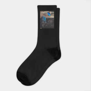 Astronaut Socks