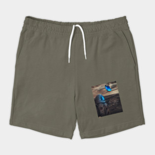 Astronaut Shorts