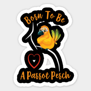 Sun Conure Parrot on Shoulder - Born to be a Perch Magnet
