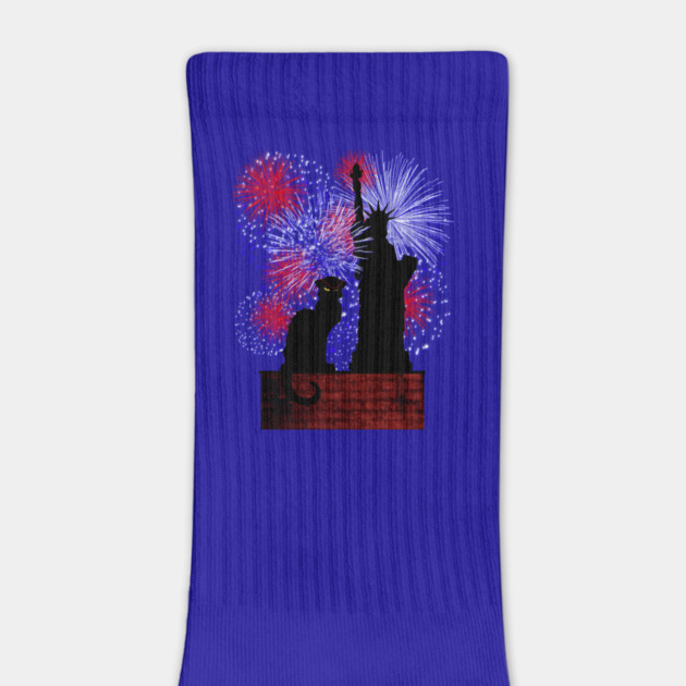 Chat Noir and July 4th by HolidayBug