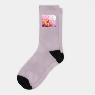 Chrysanthemum and Moon Socks