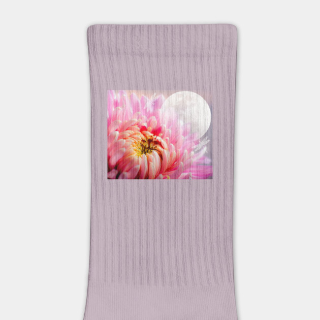 Chrysanthemum and Moon by HolidayBug