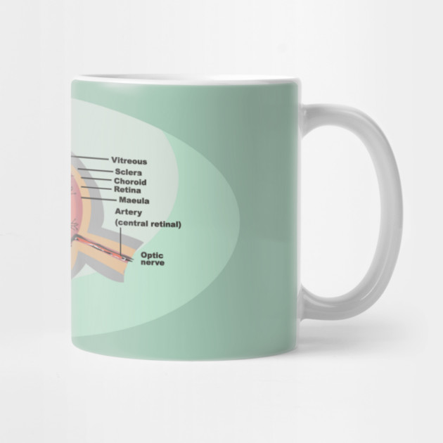 National Eye Care Month, Eye Diagram by HolidayBug