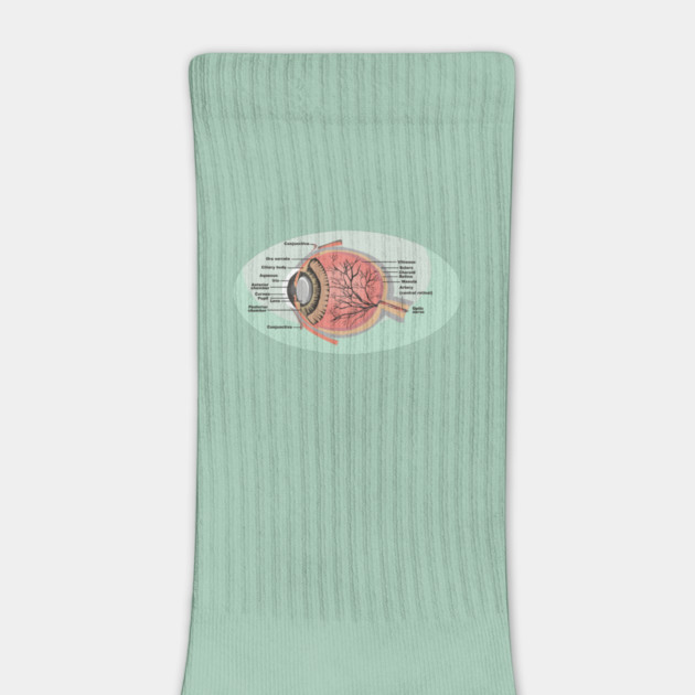 National Eye Care Month, Eye Diagram by HolidayBug